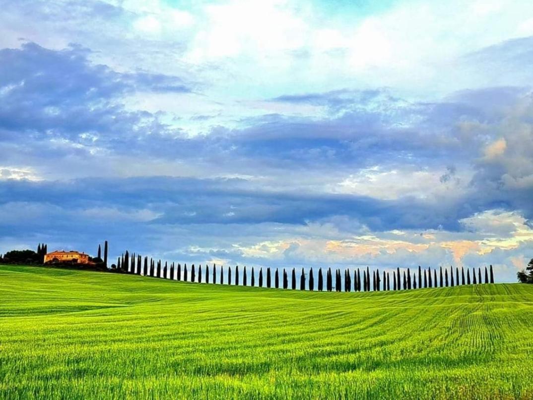 Affittacamere Alba Fiorita Castiglione dʼOrcia المظهر الخارجي الصورة