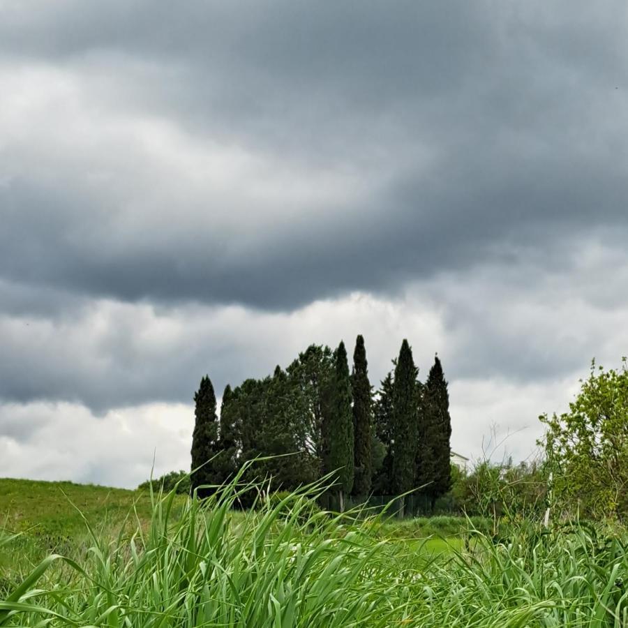 Affittacamere Alba Fiorita Castiglione dʼOrcia المظهر الخارجي الصورة