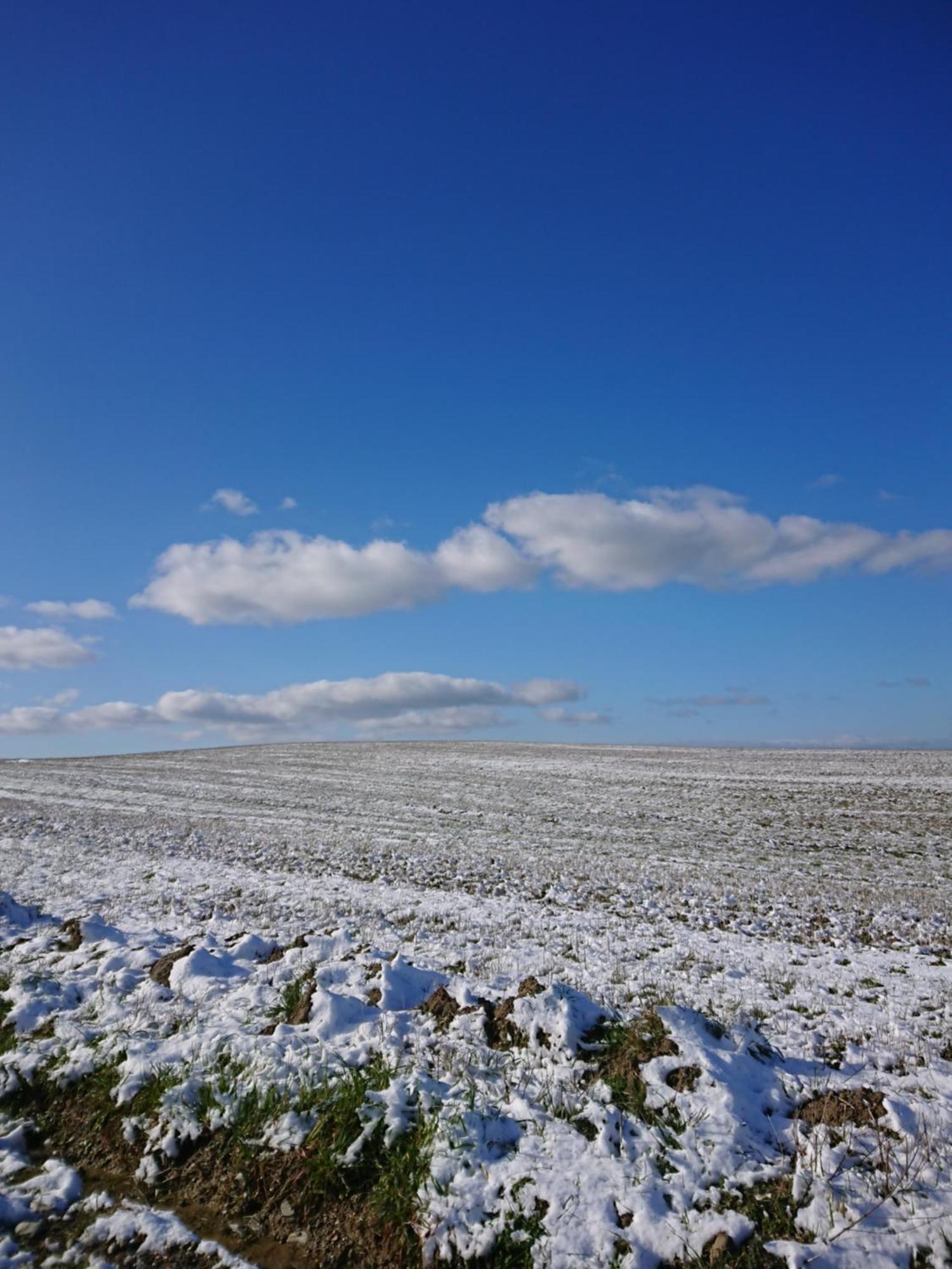 Affittacamere Alba Fiorita Castiglione dʼOrcia المظهر الخارجي الصورة
